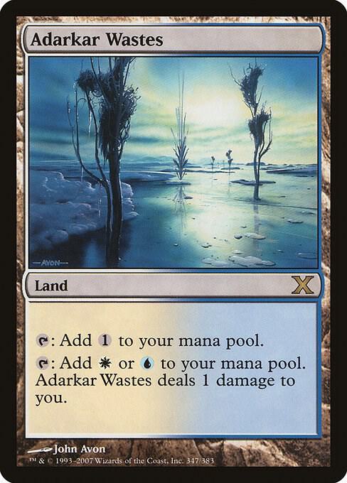 Adarkar Wastes 347/383 (10th Edition)  - Foil
