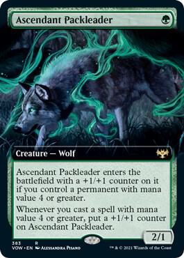 Ascendant Packleader Extended Art 383/277 (Innistrad: Crimson Vow)