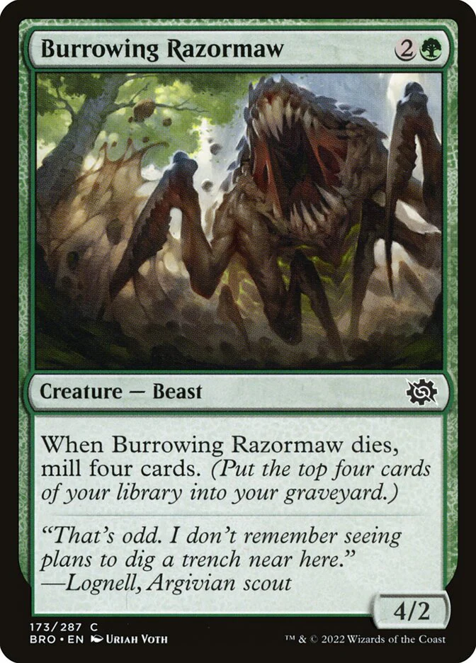 Burrowing Razormaw 173/287 (The Brothers' War)  - Foil
