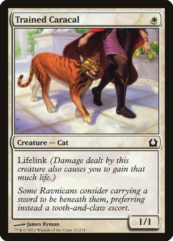 Trained Caracal 27/274 (Return to Ravnica)  - Foil