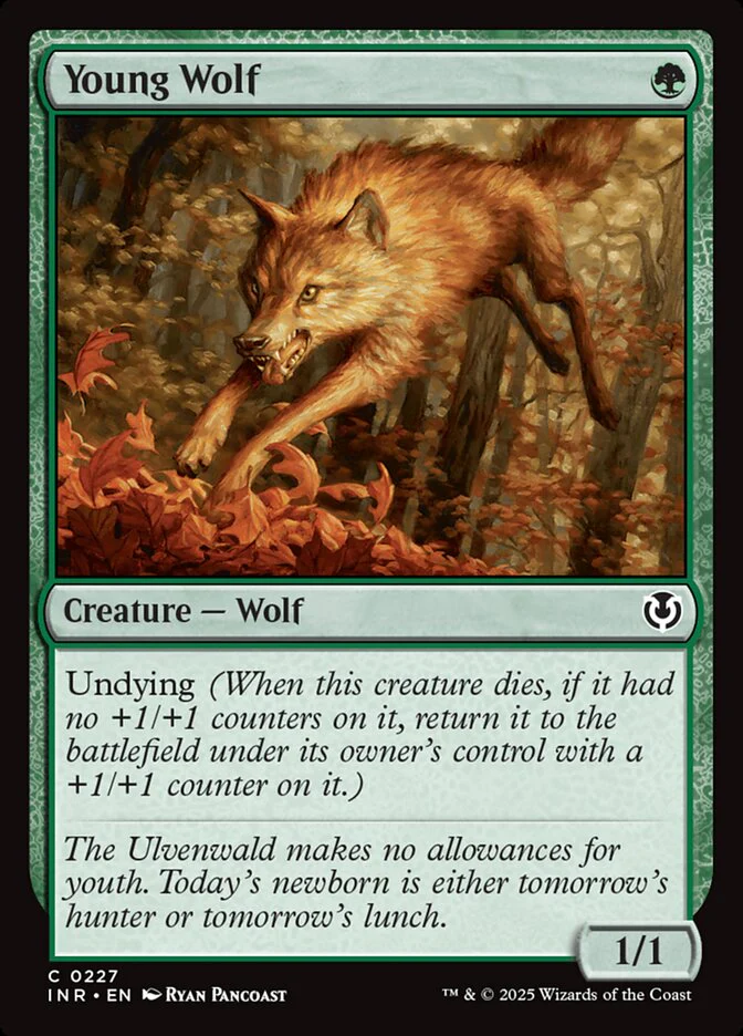 Young Wolf 227/287 (Innistrad Remastered)